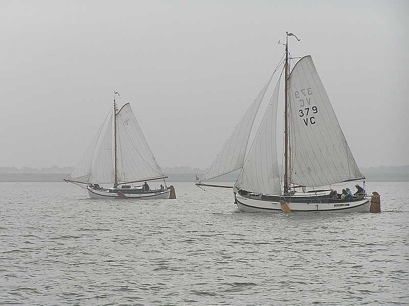 VC379 enVC 'twitedoke